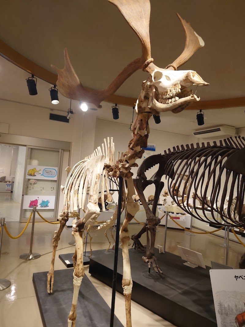 佐野市葛生化石館 外観