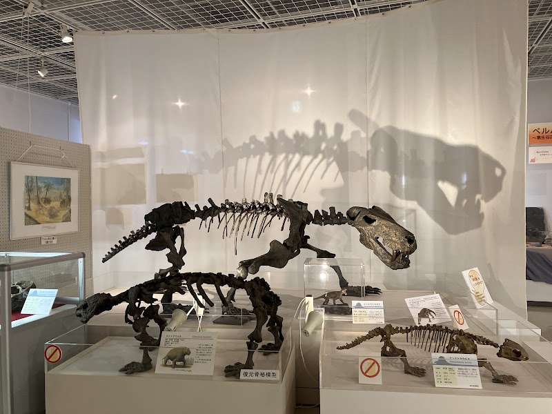 佐野市葛生化石館 展示