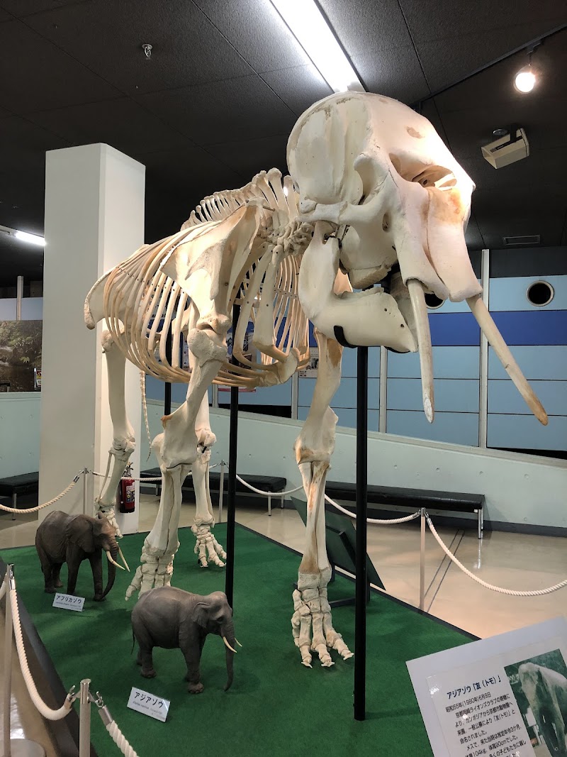 京都市青少年科学センター 展示