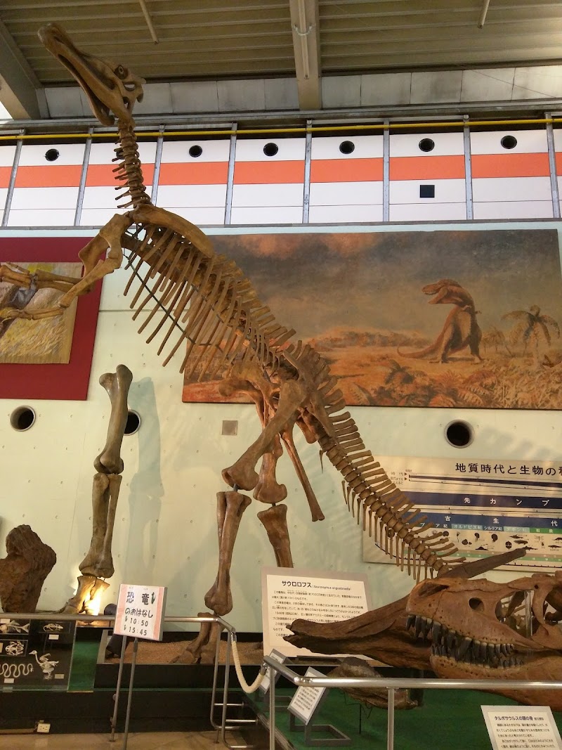 京都市青少年科学センター 詳細