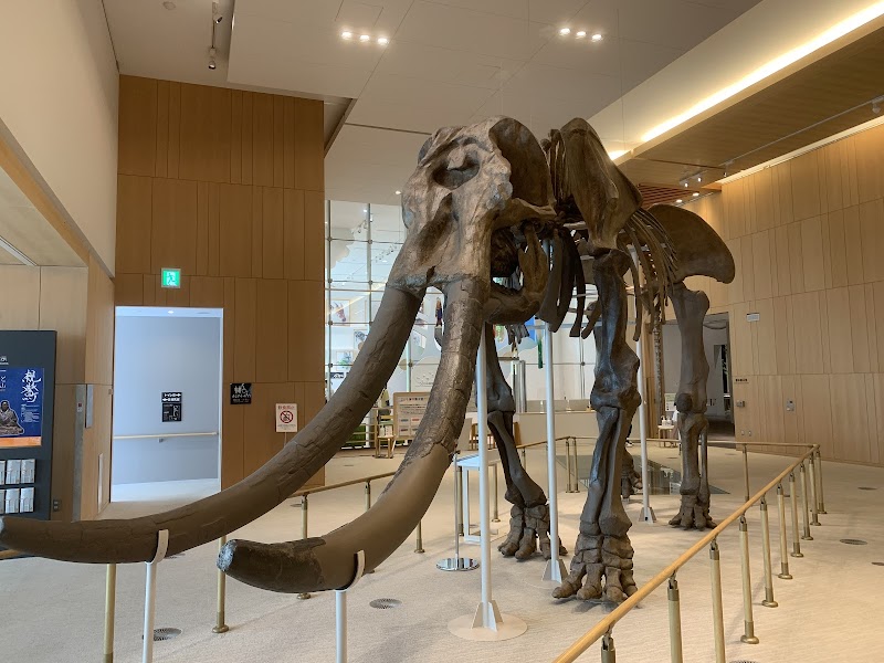 三重県総合博物館(MieMu) 体験