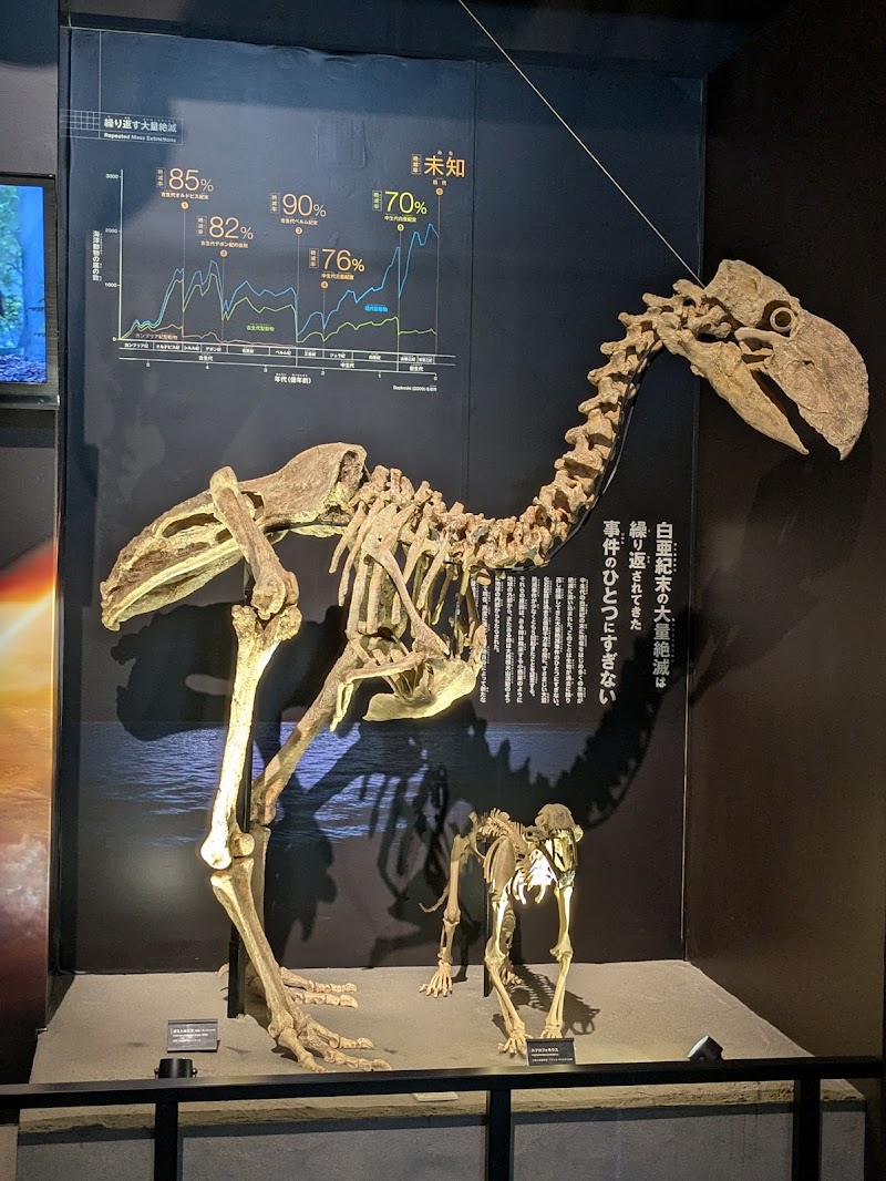 御船町恐竜博物館 体験