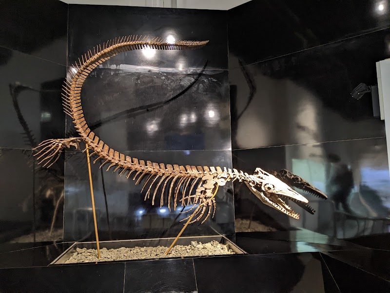 三笠市立博物館 体験