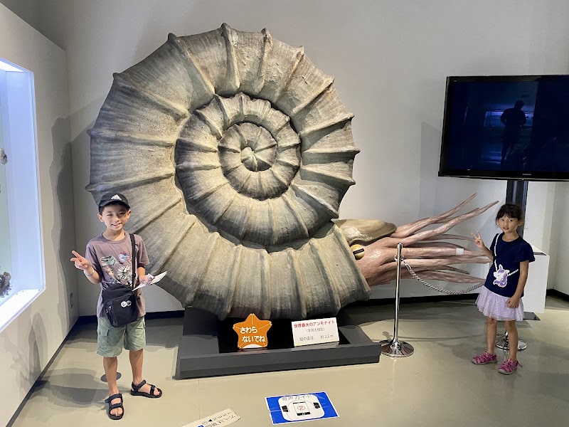 三笠市立博物館 詳細