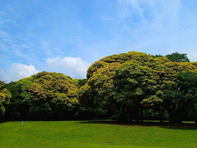 南房総市立 大房岬自然の家・地学標本展示 詳細