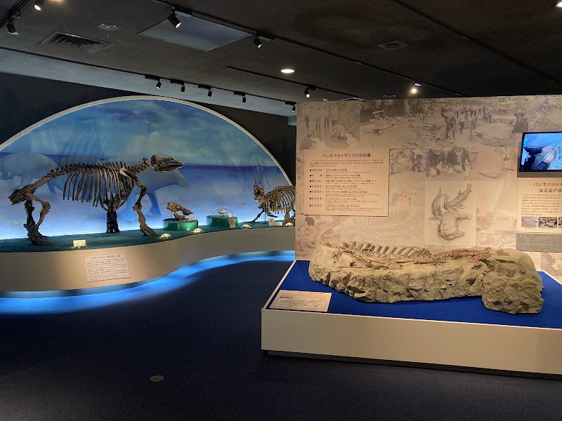 瑞浪市化石博物館 詳細