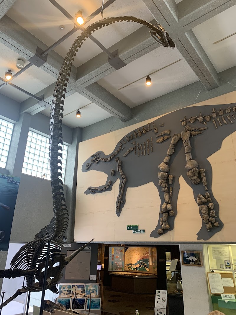 むかわ町穂別博物館 展示