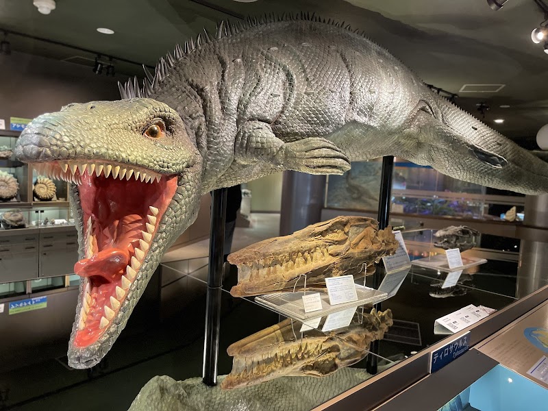 むかわ町穂別博物館 体験