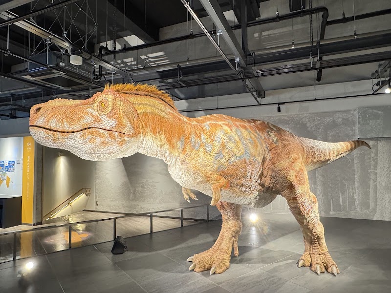 ベネックス恐竜博物館(長崎市恐竜博物館) 展示