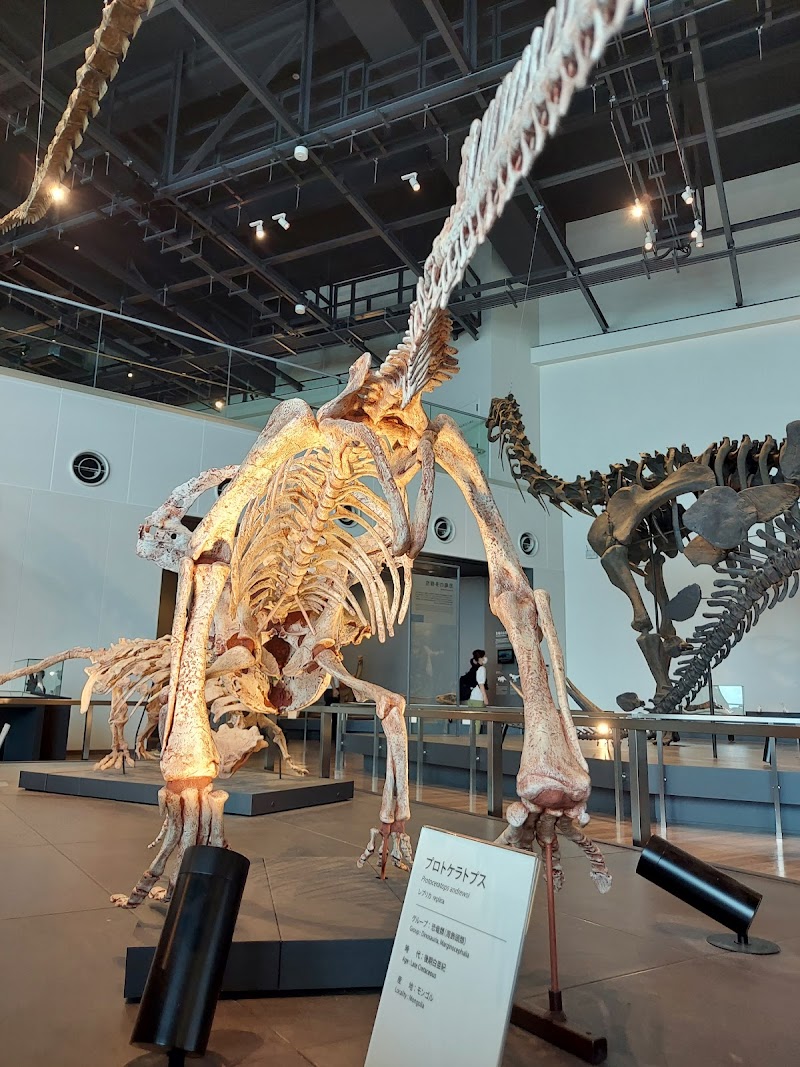 ベネックス恐竜博物館(長崎市恐竜博物館) 詳細