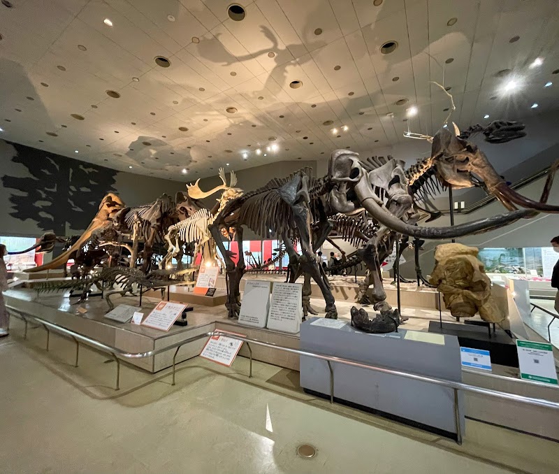 大阪市立自然史博物館 外観