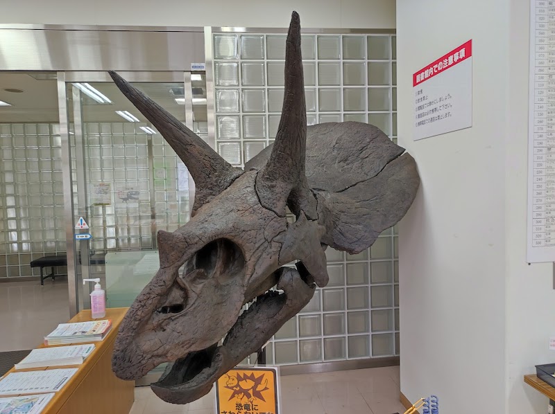 岡山理科大学 恐竜学博物館 体験