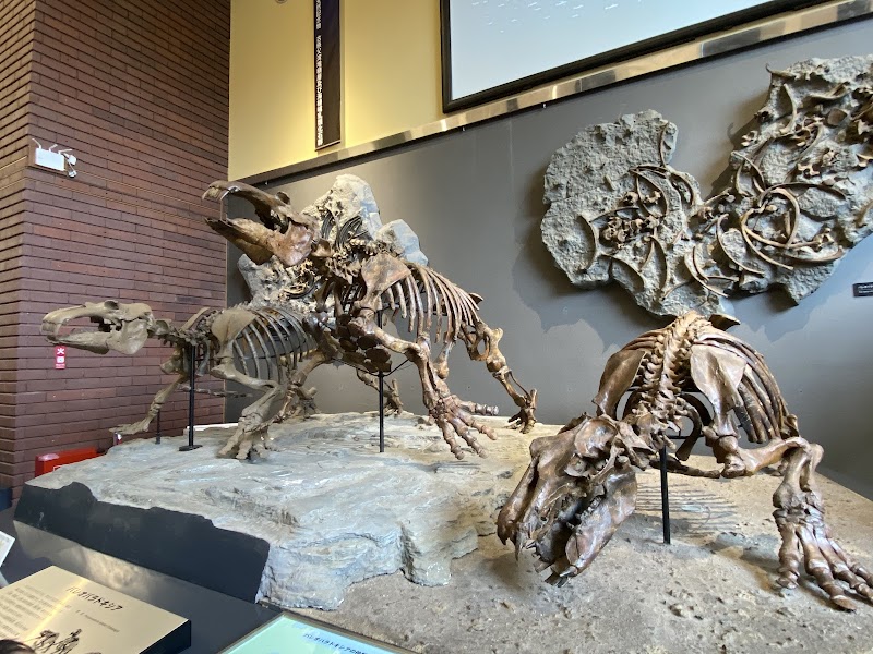 埼玉県立自然の博物館 外観