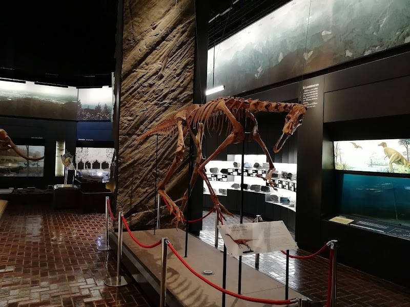 埼玉県立自然の博物館 展示