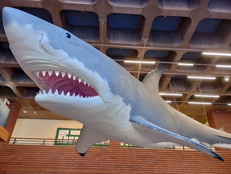 埼玉県立自然の博物館 体験