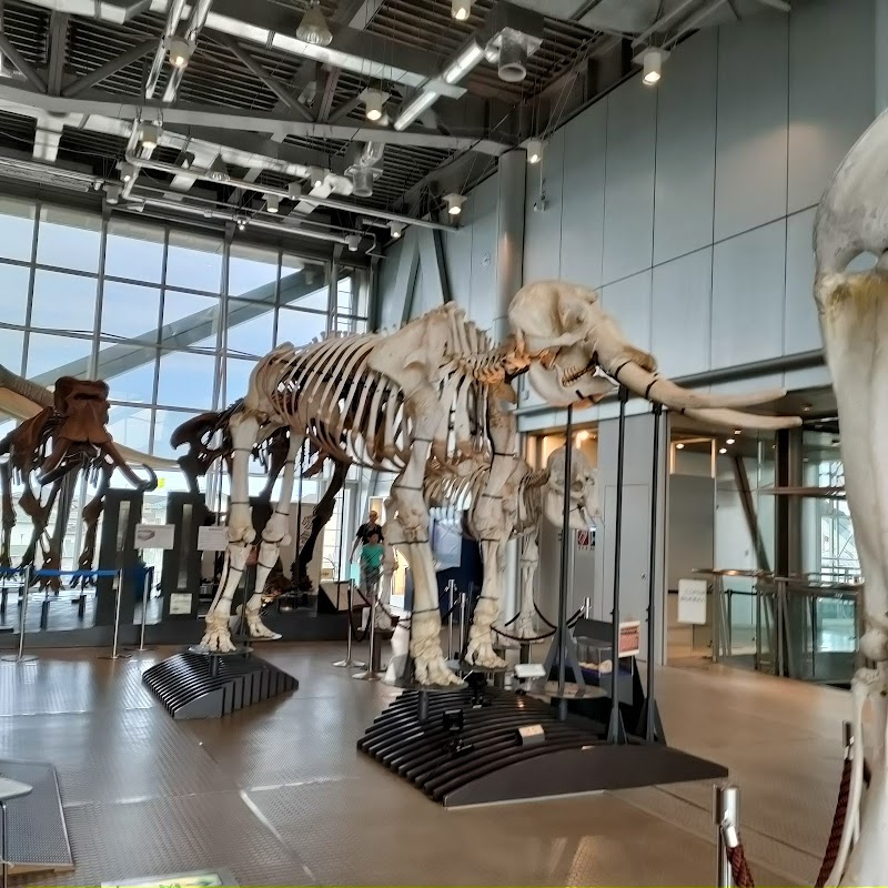 HOKUSHU仙台市科学館 外観