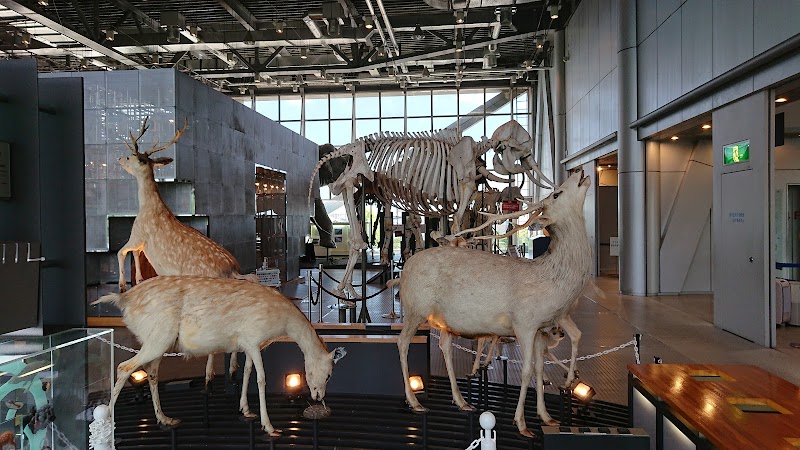 HOKUSHU仙台市科学館 体験