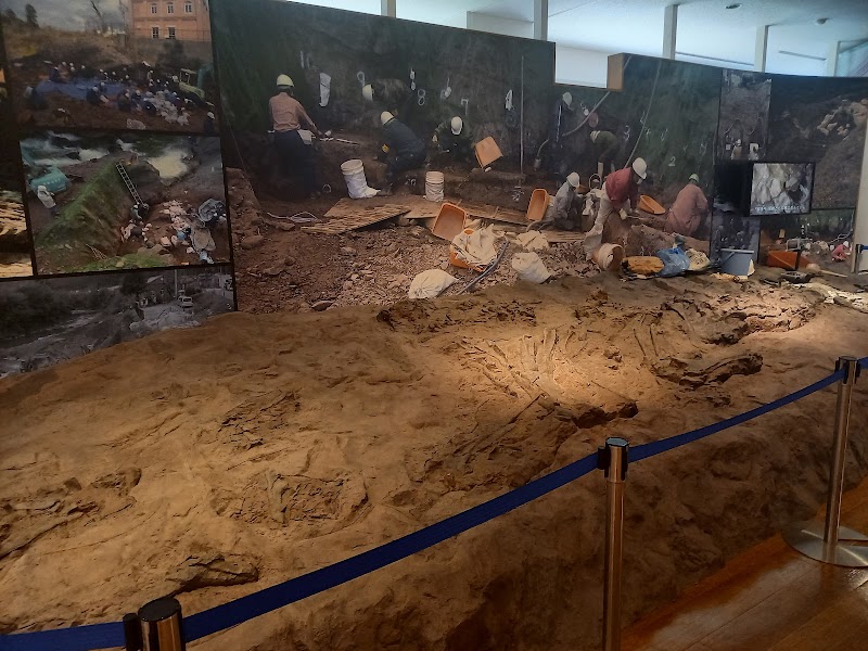 たんば恐竜博物館 ちーたんの館 体験