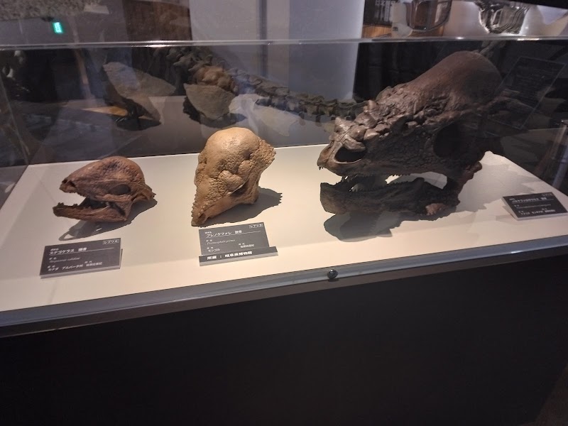 たんば恐竜博物館 ちーたんの館 詳細