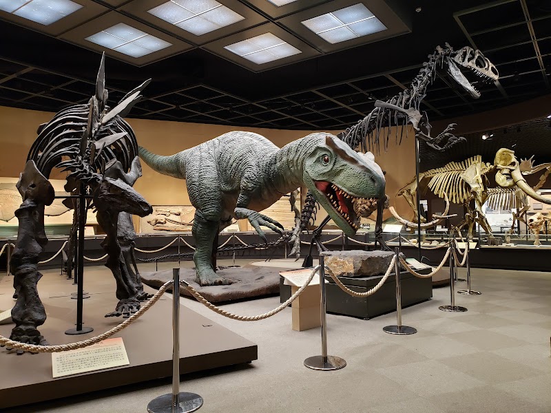 栃木県立博物館 展示