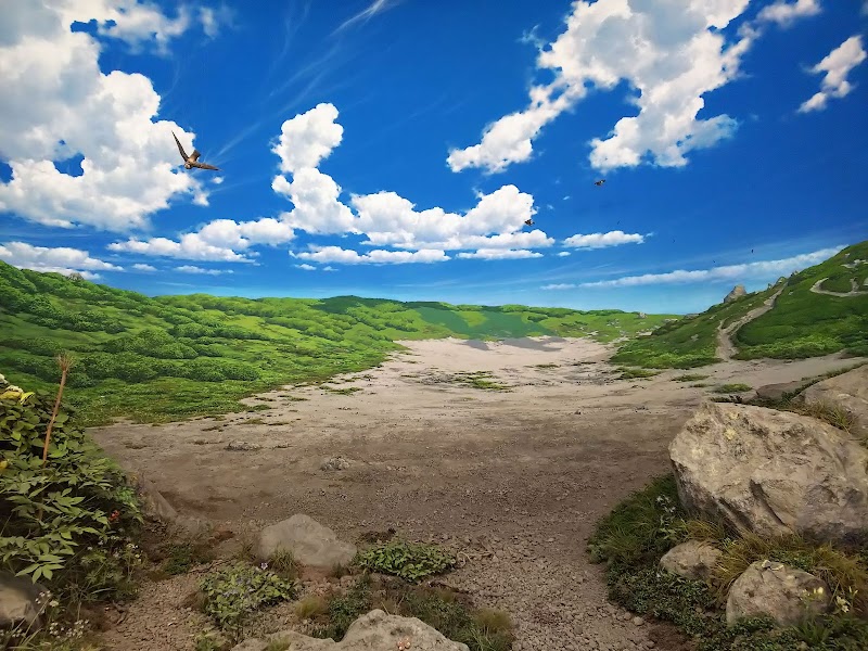 栃木県立博物館 詳細