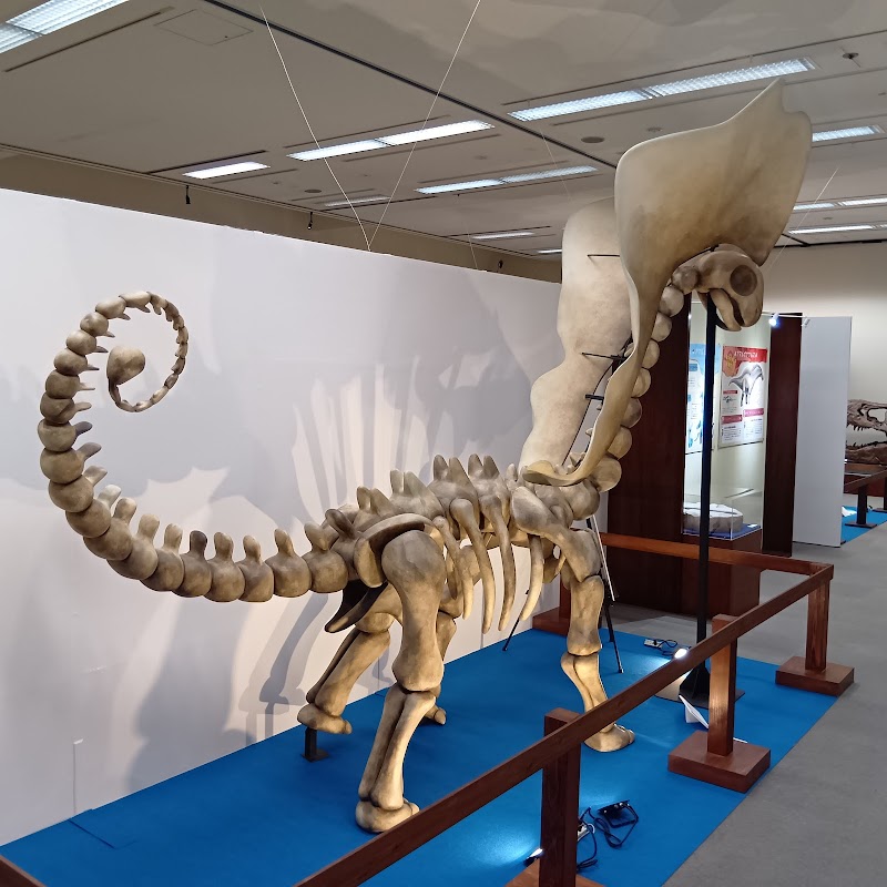 徳島県立博物館 詳細