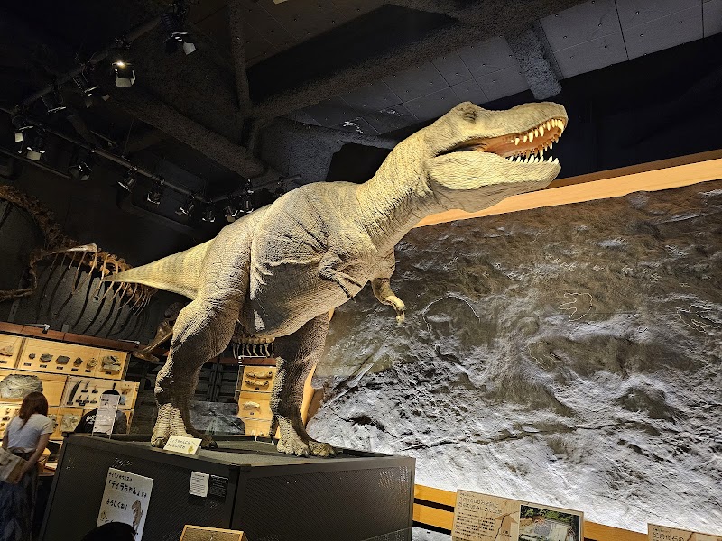 富山市科学博物館 体験