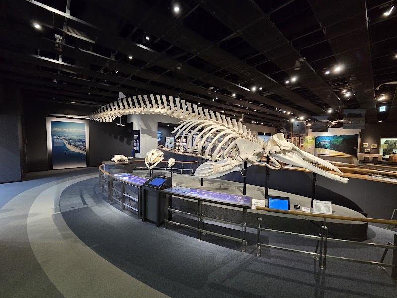 富山市科学博物館 詳細