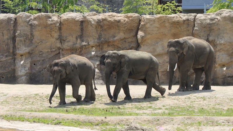 豊橋市自然史博物館(のんほいパーク内) 外観