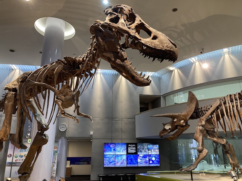 豊橋市自然史博物館(のんほいパーク内) 体験