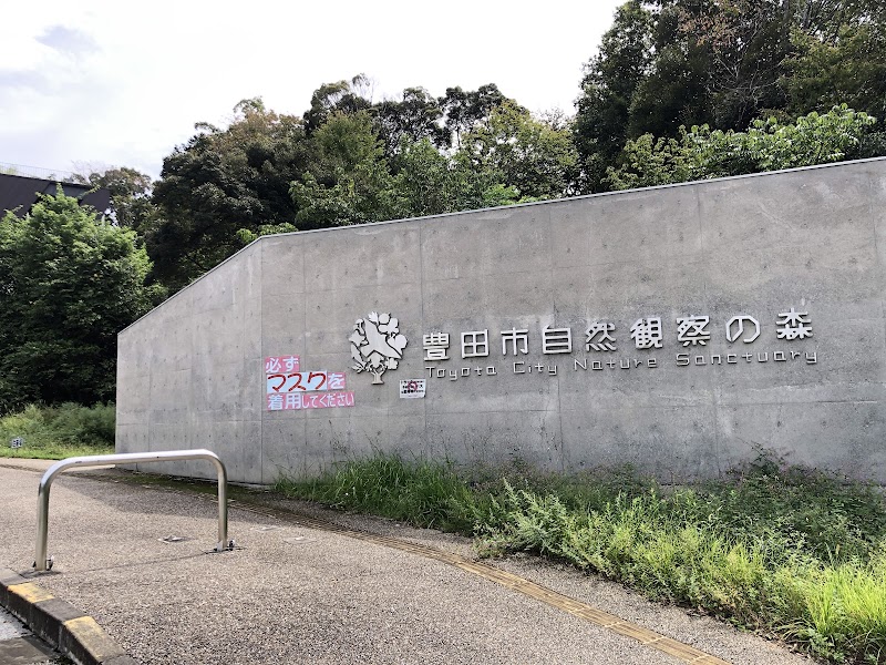 豊田市自然観察の森・豊田市美術館 展示