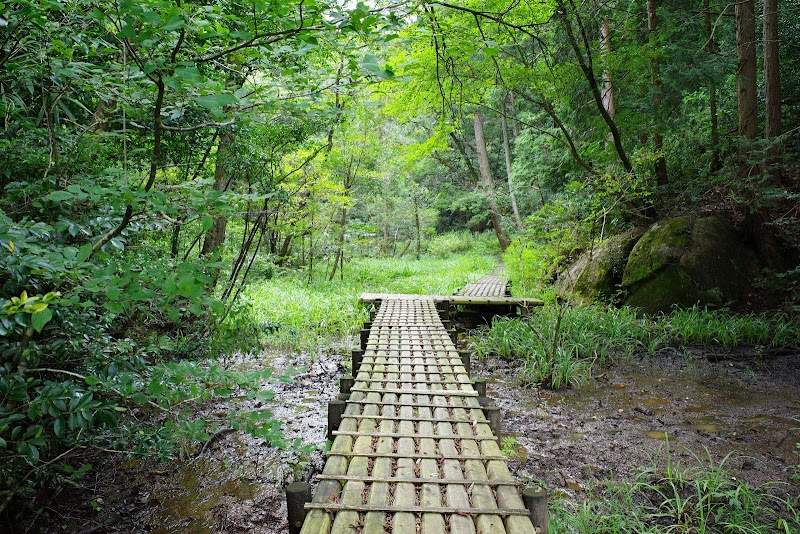 豊田市自然観察の森・豊田市美術館 体験