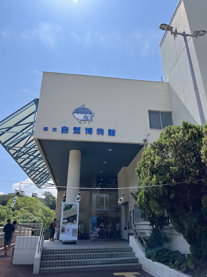 和歌山県立自然博物館 外観