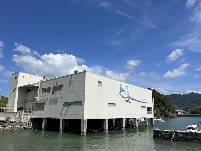 和歌山県立自然博物館 体験