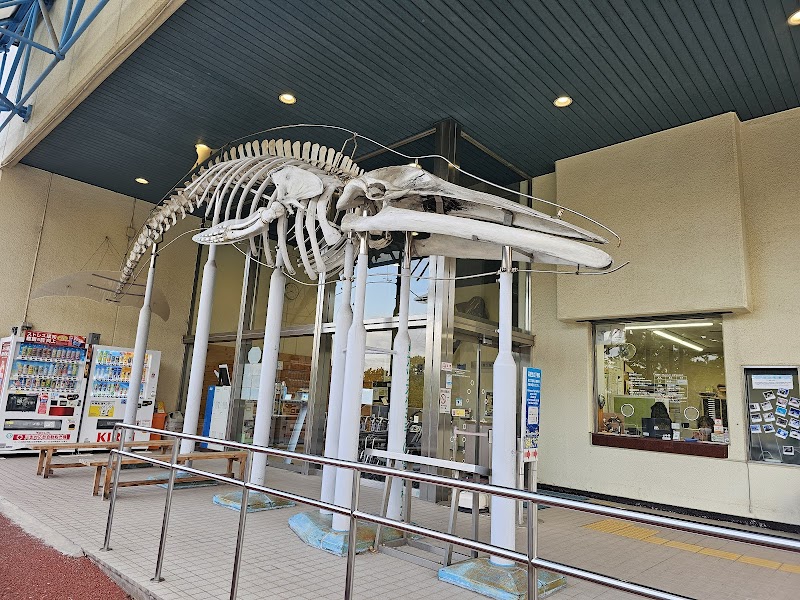 和歌山県立自然博物館 詳細