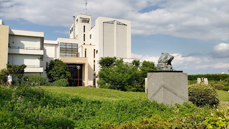 横須賀市自然・人文博物館 展示