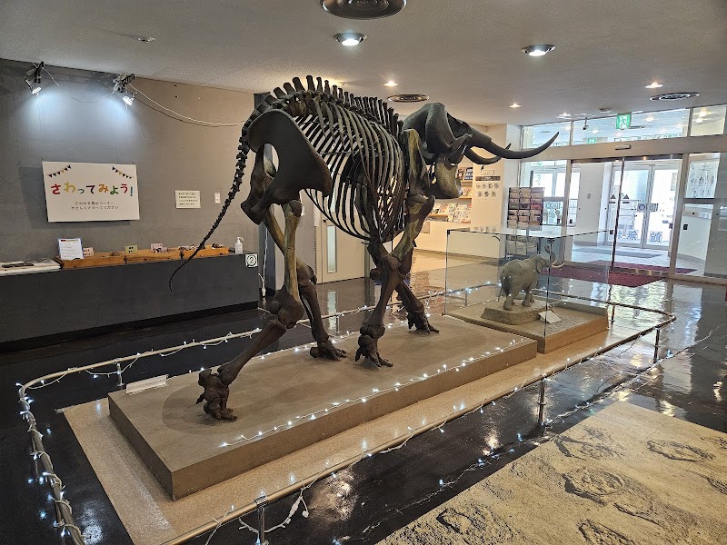 横須賀市自然・人文博物館 体験