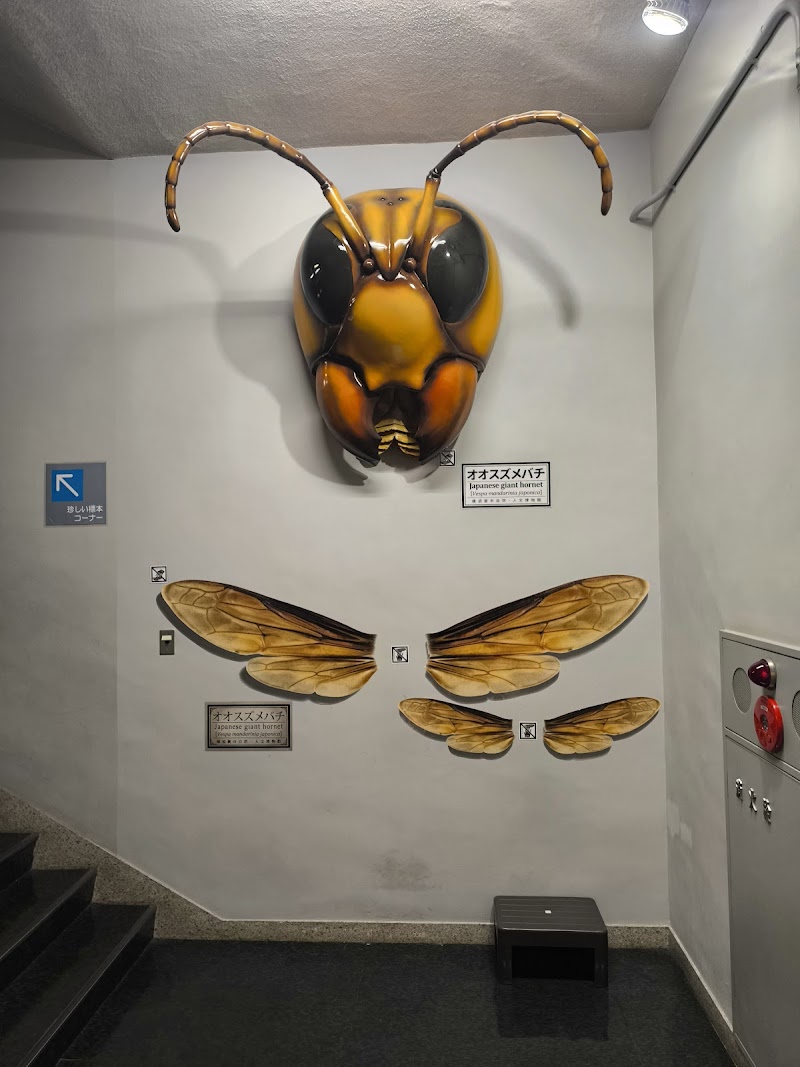 横須賀市自然・人文博物館 詳細