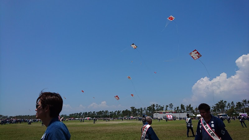 浜松まつり凧揚げ合戦