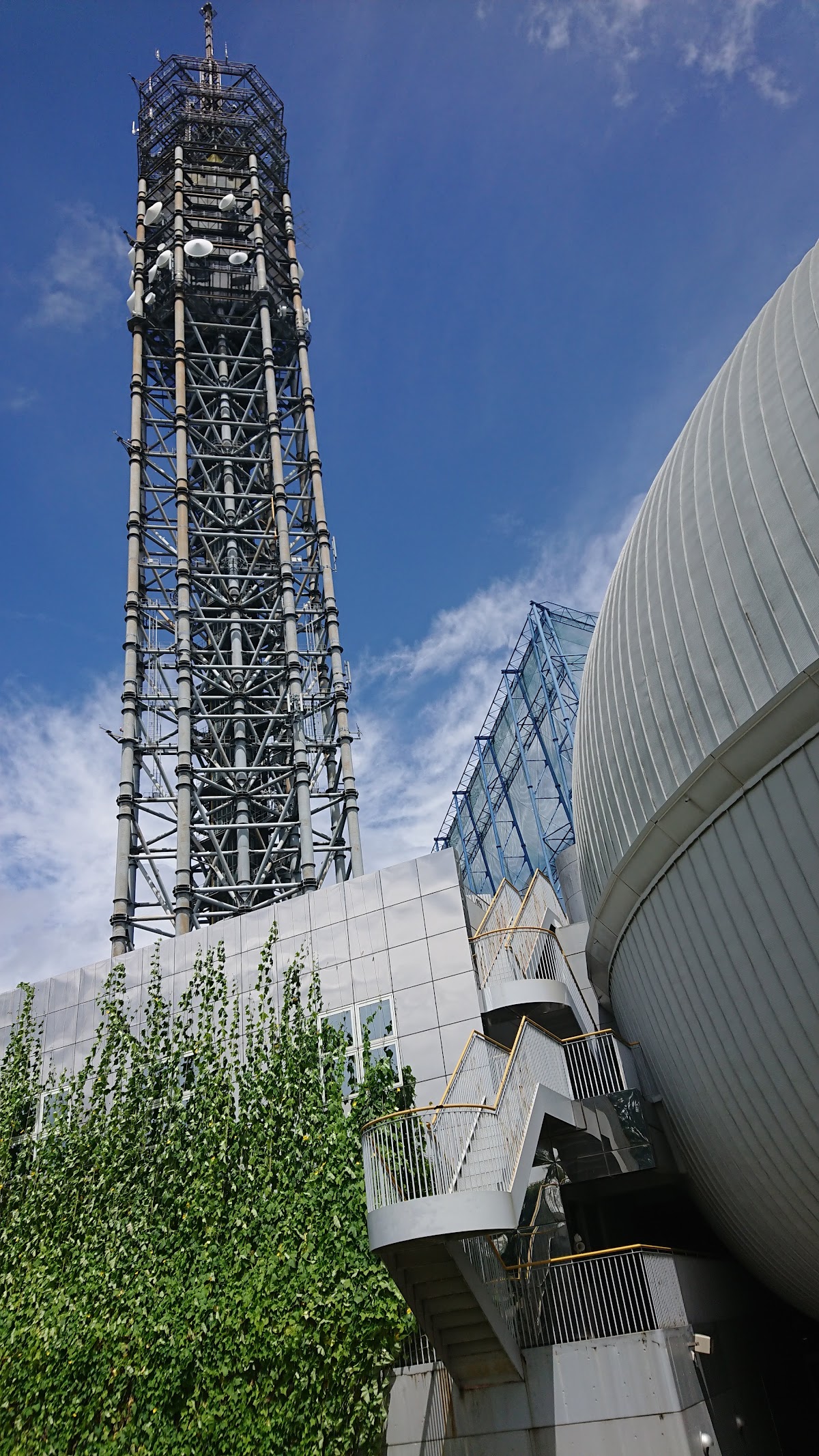 多摩六都科学館 周辺の風景