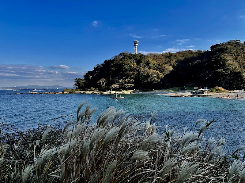 観音埼灯台・観音崎自然博物館 写真1