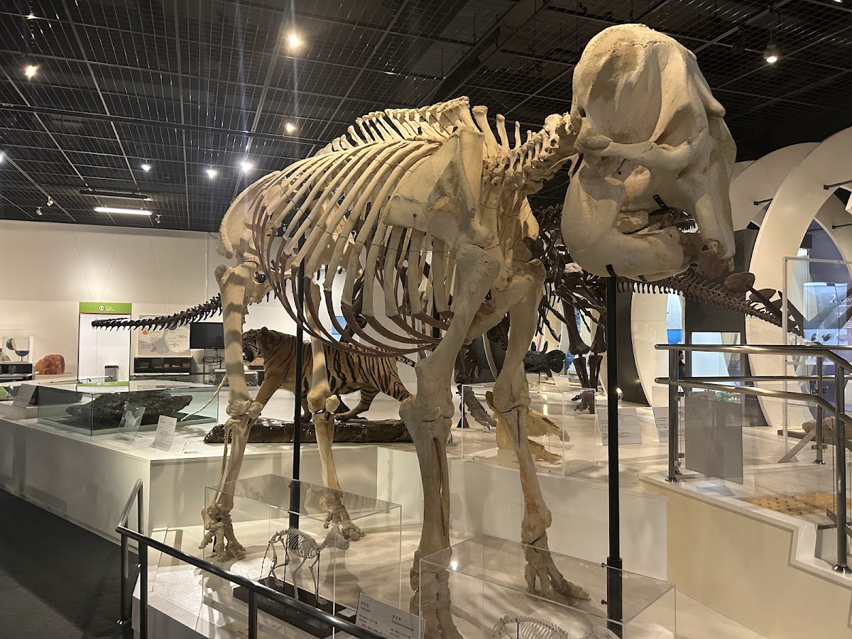 姫路科学館「アトムの館」 🔭 展示・望遠鏡