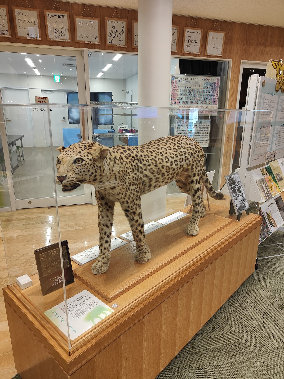 高知みらい科学館 📍 詳細