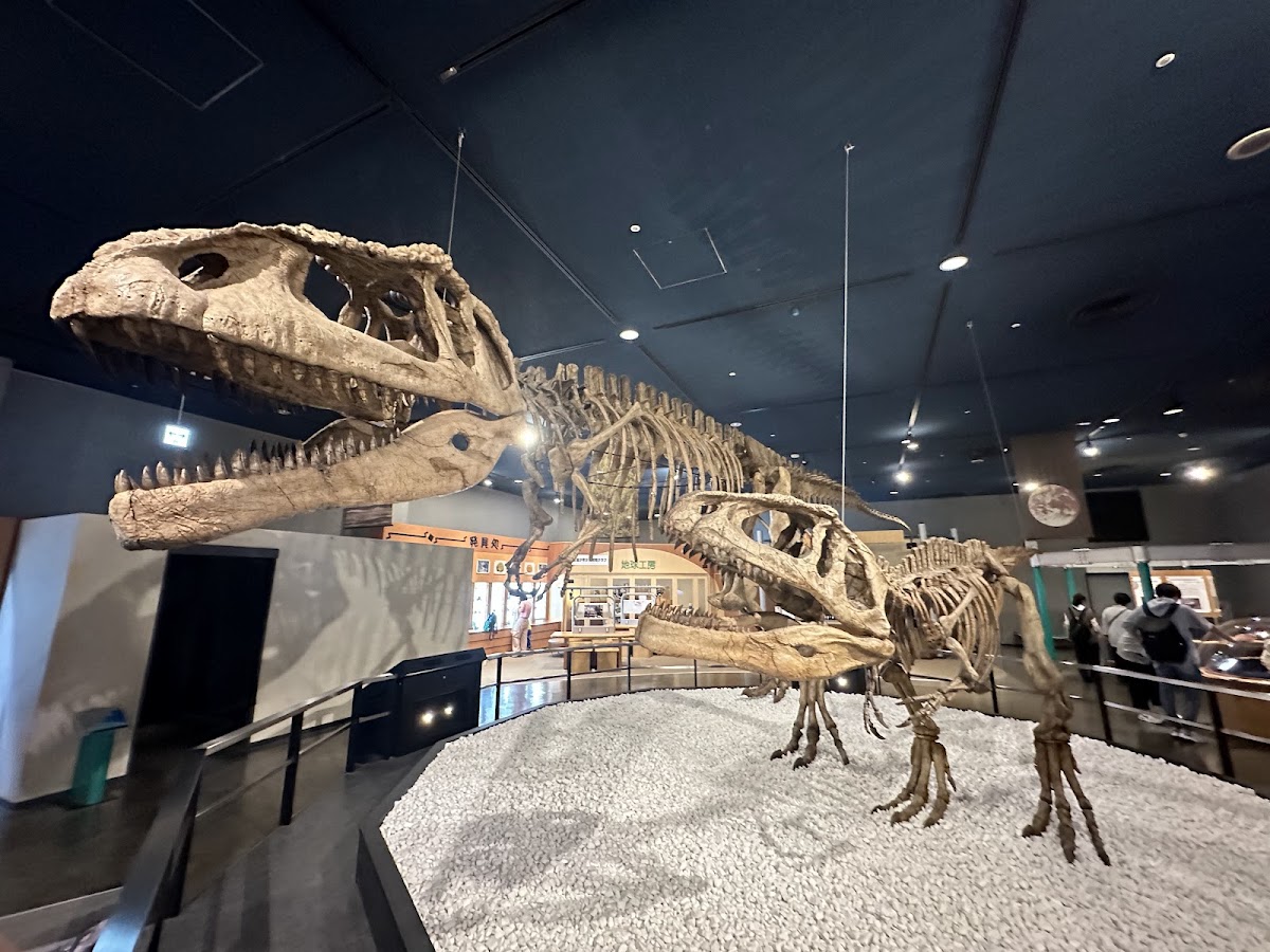 名古屋市科学館 🔭 展示・望遠鏡