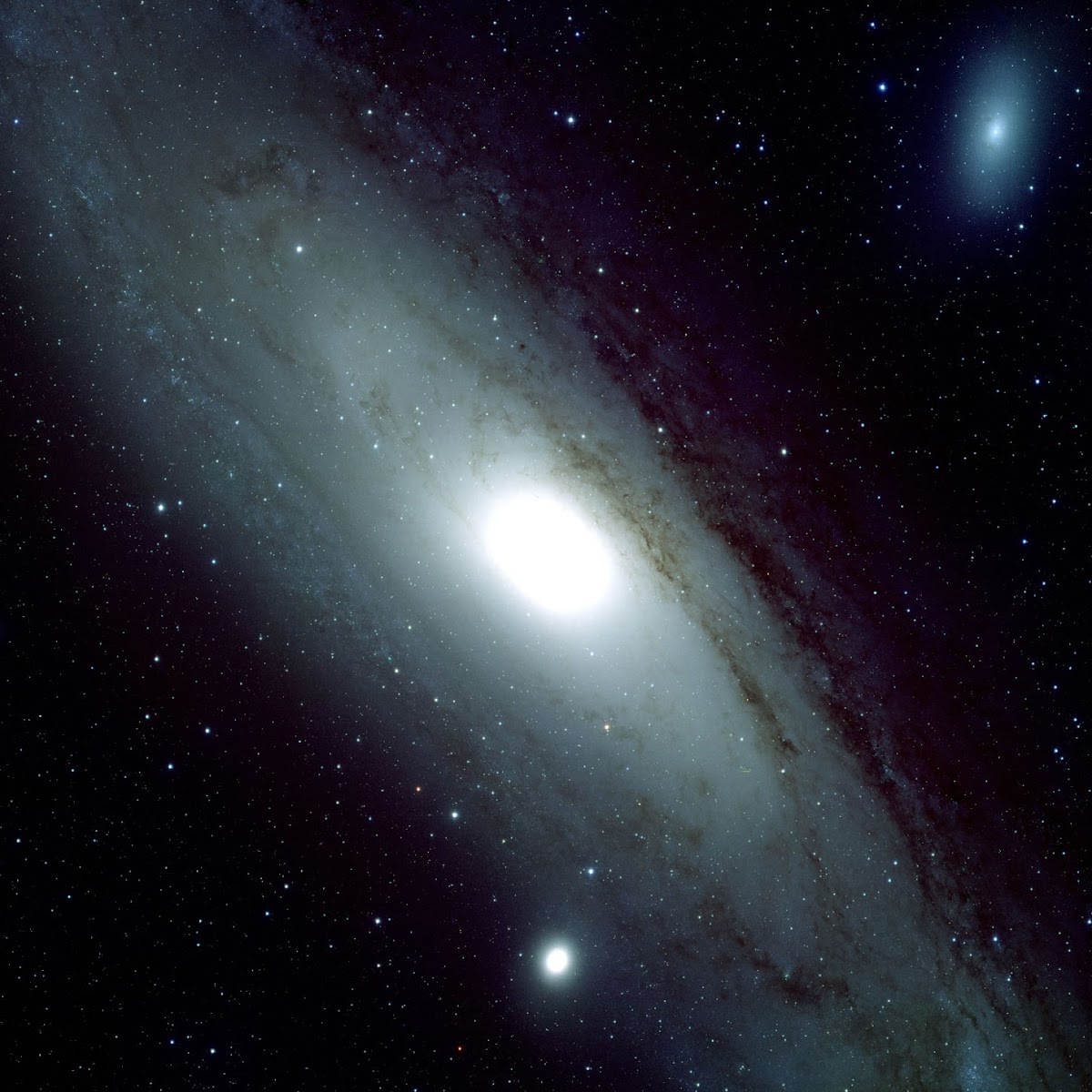 国立天文台 三鷹キャンパス 📷 外観