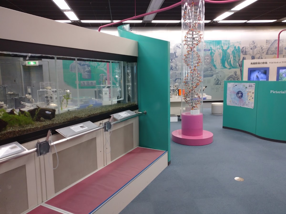 新潟県立自然科学館 ⭐ 体験・星空