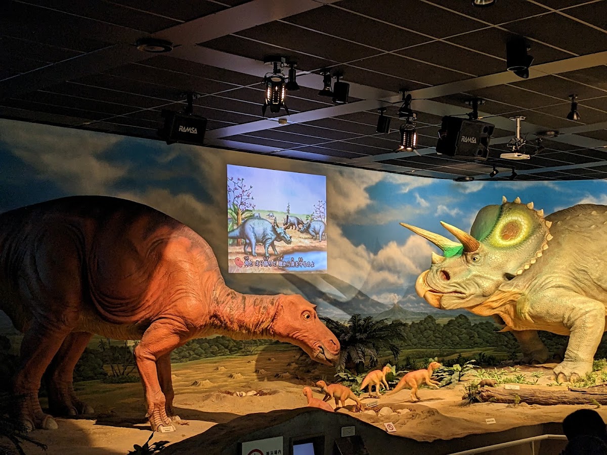 新潟県立自然科学館 📍 詳細