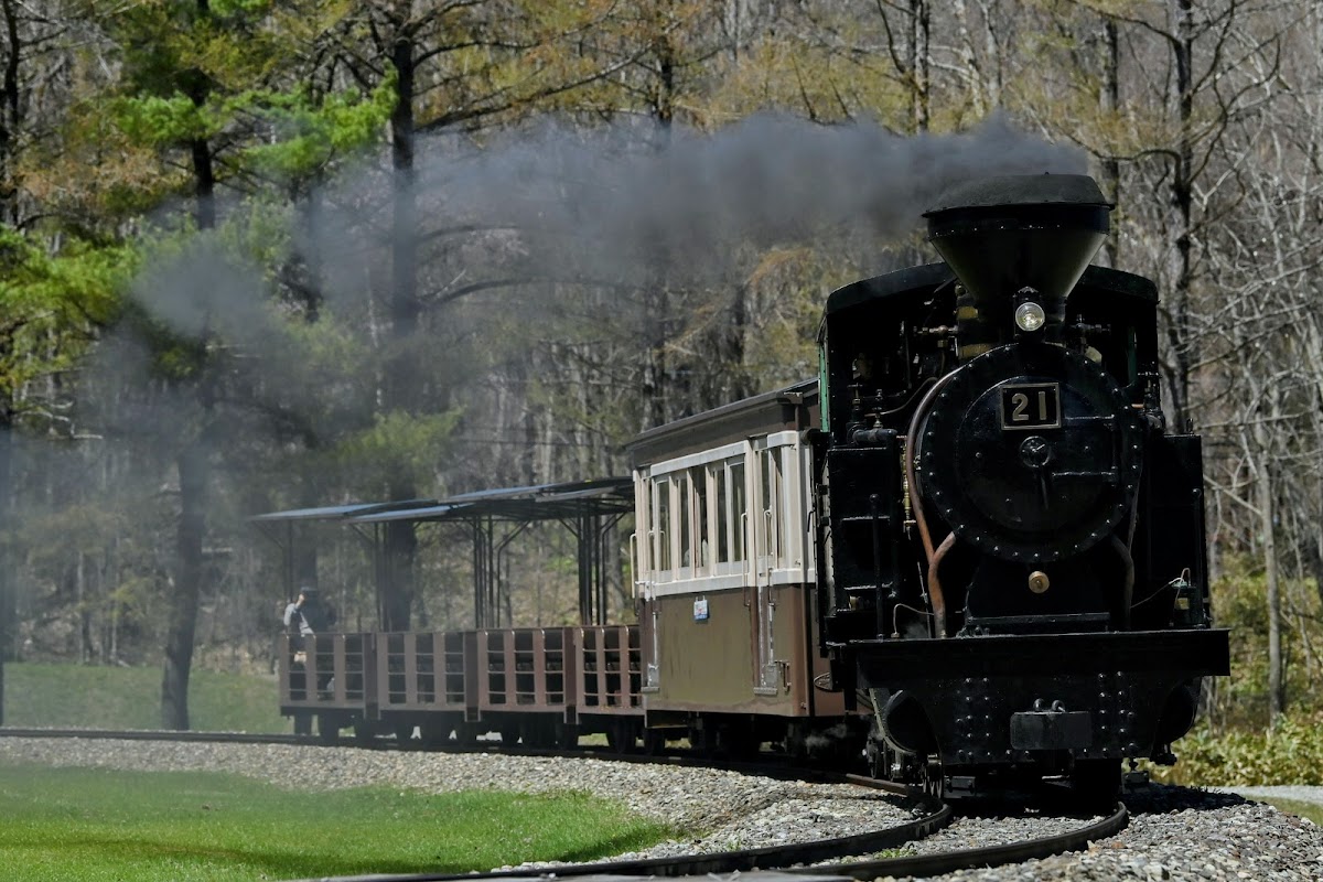 丸瀬布森林公園いこいの森(森林鉄道雨宮21号) 🚂 体験・車両