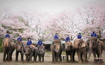 施設写真
