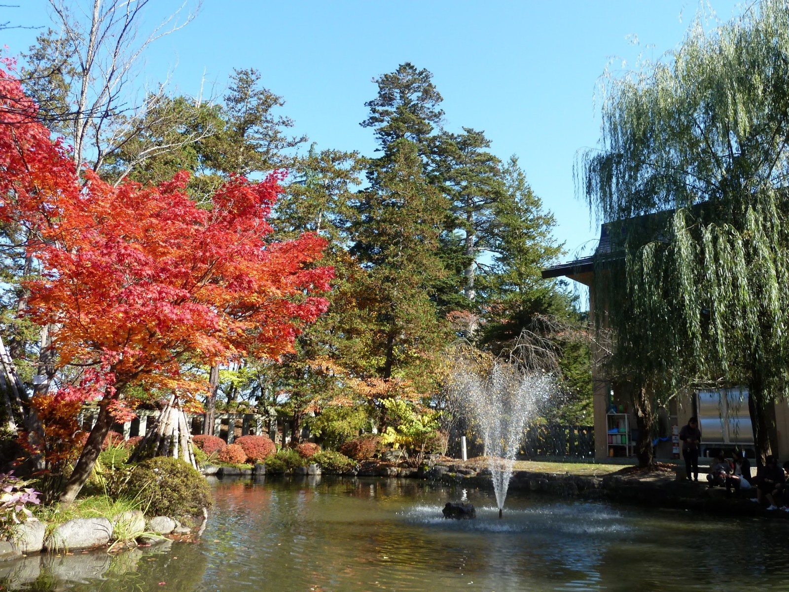 yonezawa-camp